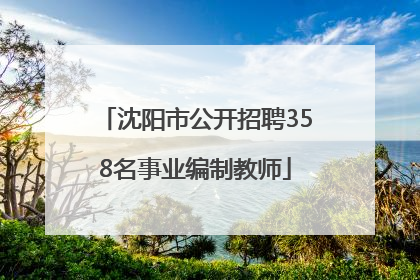 沈阳市公开招聘358名事业编制教师