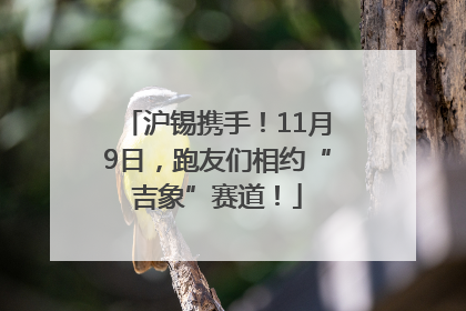 沪锡携手！11月9日，跑友们相约“吉象”赛道！