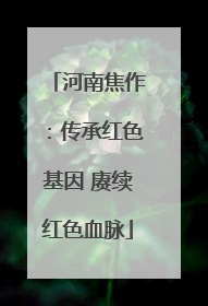 河南焦作：传承红色基因 赓续红色血脉