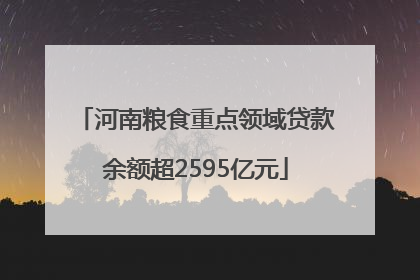 河南粮食重点领域贷款余额超2595亿元