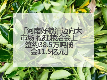 河南好粮油迈向大市场 福建粮洽会上签约38.5万吨揽金11.5亿元