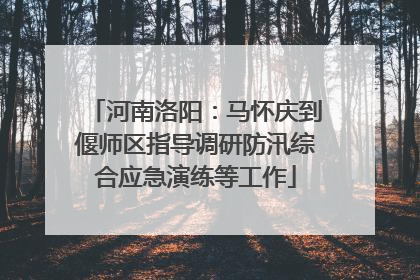河南洛阳：马怀庆到偃师区指导调研防汛综合应急演练等工作
