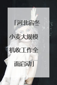 河北省冬小麦大规模机收工作全面启动