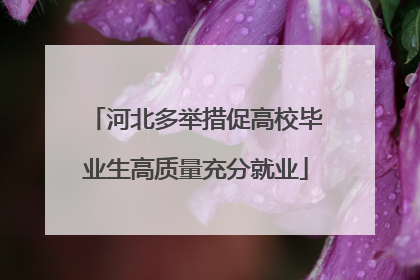 河北多举措促高校毕业生高质量充分就业