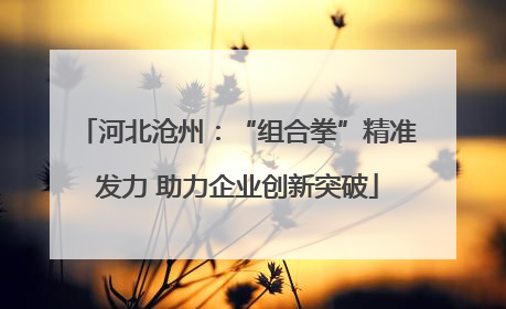 河北沧州：“组合拳”精准发力 助力企业创新突破