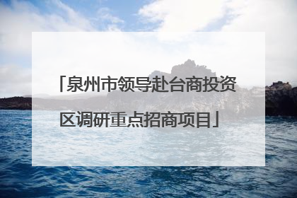 泉州市领导赴台商投资区调研重点招商项目