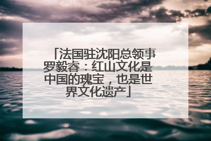 法国驻沈阳总领事罗毅睿：红山文化是中国的瑰宝，也是世界文化遗产