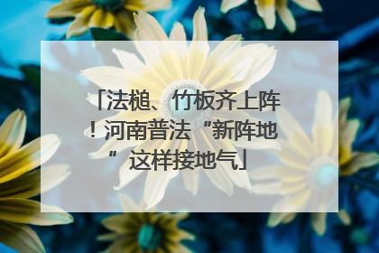 法槌、竹板齐上阵！河南普法“新阵地”这样接地气