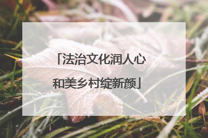 法治文化润人心 和美乡村绽新颜