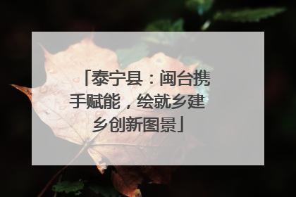 泰宁县：闽台携手赋能，绘就乡建乡创新图景
