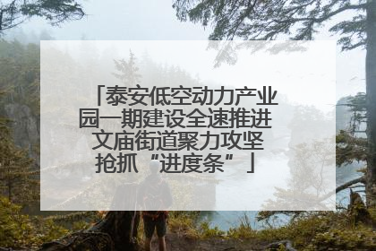 泰安低空动力产业园一期建设全速推进 文庙街道聚力攻坚抢抓“进度条”