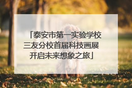 泰安市第一实验学校三友分校首届科技画展开启未来想象之旅