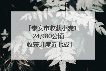 泰安市收获小麦124,980公顷 收获进度近七成
