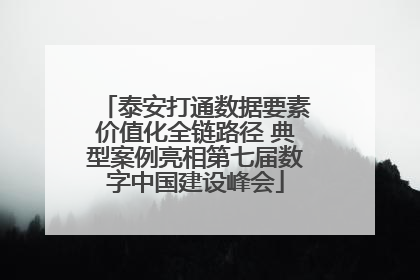 泰安打通数据要素价值化全链路径 典型案例亮相第七届数字中国建设峰会