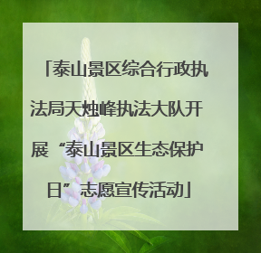 泰山景区综合行政执法局天烛峰执法大队开展“泰山景区生态保护日”志愿宣传活动