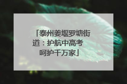 泰州姜堰罗塘街道：护航中高考 呵护千万家