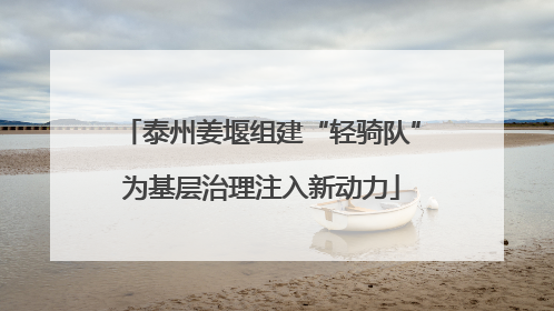 泰州姜堰组建“轻骑队”为基层治理注入新动力
