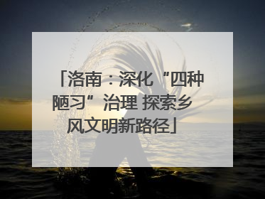 洛南：深化“四种陋习”治理 探索乡风文明新路径