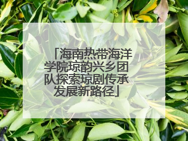 海南热带海洋学院琼韵兴乡团队探索琼剧传承发展新路径