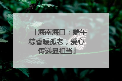 海南海口：端午粽香暖孤老，爱心传递显担当