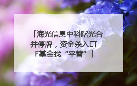 海光信息中科曙光合并停牌，资金杀入ETF基金找“平替”