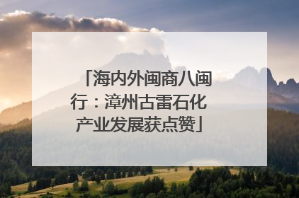 海内外闽商八闽行：漳州古雷石化产业发展获点赞
