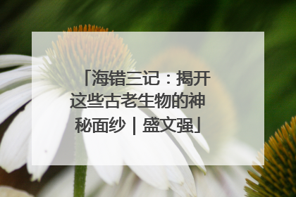 海错三记：揭开这些古老生物的神秘面纱｜盛文强