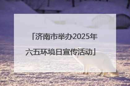 济南市举办2025年六五环境日宣传活动
