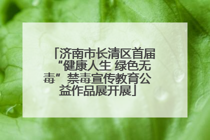 济南市长清区首届“健康人生 绿色无毒”禁毒宣传教育公益作品展开展