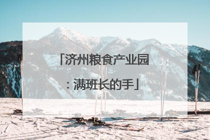 济州粮食产业园：满班长的手