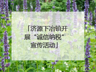 济源下冶镇开展“诚信纳税”宣传活动
