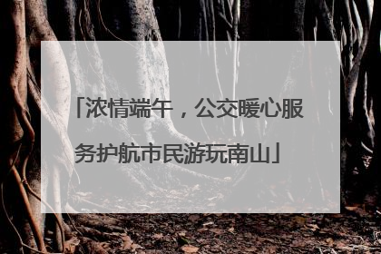 浓情端午，公交暖心服务护航市民游玩南山