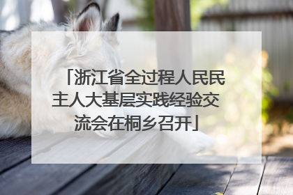 浙江省全过程人民民主人大基层实践经验交流会在桐乡召开