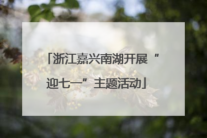 浙江嘉兴南湖开展“迎七一”主题活动