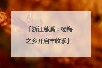 浙江慈溪：杨梅之乡开启丰收季