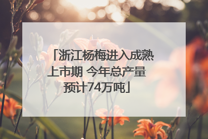 浙江杨梅进入成熟上市期 今年总产量预计74万吨