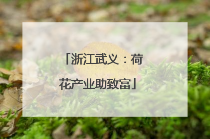 浙江武义：荷花产业助致富
