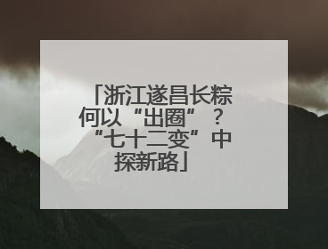 浙江遂昌长粽何以“出圈”？“七十二变”中探新路