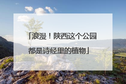 浪漫！陕西这个公园都是诗经里的植物