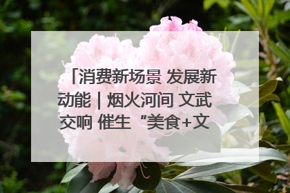 消费新场景 发展新动能｜烟火河间 文武交响 催生“美食+文化”消费新场景