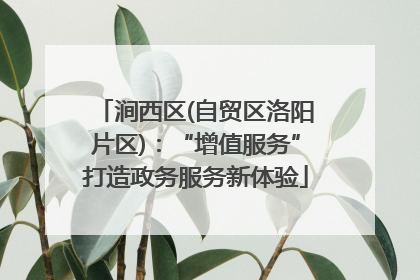 涧西区(自贸区洛阳片区)：“增值服务”打造政务服务新体验