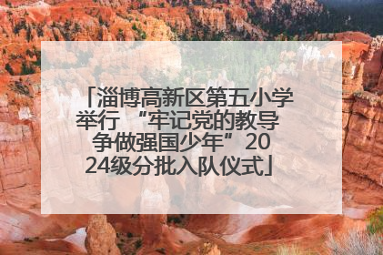 淄博高新区第五小学举行 “牢记党的教导 争做强国少年”2024级分批入队仪式