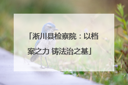 淅川县检察院：以档案之力 铸法治之基