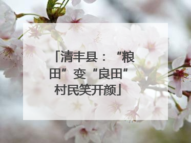 清丰县：“粮田”变“良田”村民笑开颜