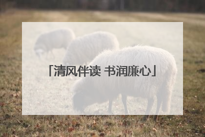 清风伴读 书润廉心