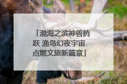 渤海之滨神兽腾跃 渔岛幻夜宇宙点燃文旅新篇章