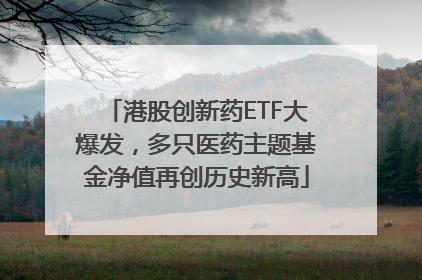 港股创新药ETF大爆发，多只医药主题基金净值再创历史新高
