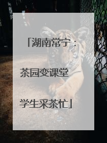 湖南常宁：茶园变课堂 学生采茶忙
