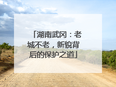 湖南武冈：老城不老，新貌背后的保护之道