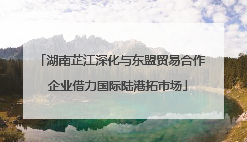 湖南芷江深化与东盟贸易合作 企业借力国际陆港拓市场